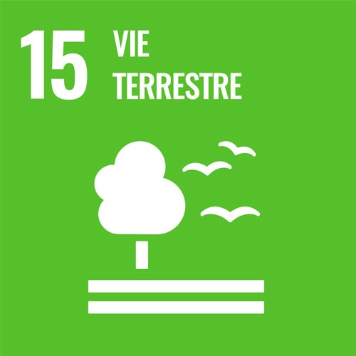 Arbre et oiseaux illustrant la durabilité et la nature, symbole de l'objectif 15 de l'ONU.