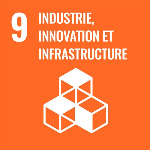 Objectifs de développement durable 9&nbsp;: Industrie, innovation et infrastructure. Illustration de cube.